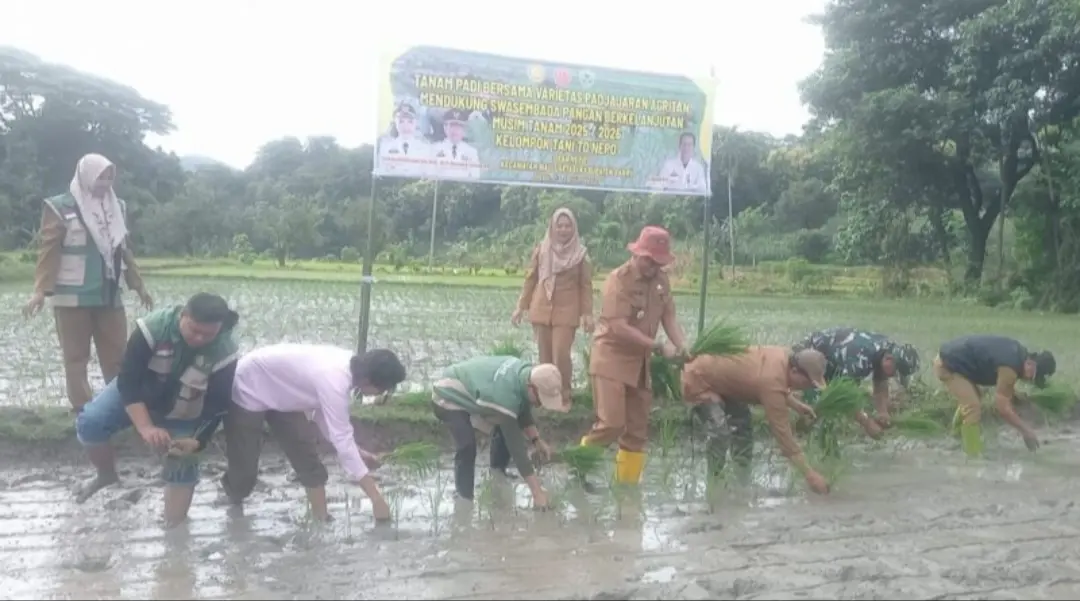 Pemkab Barru dan Petani Kompak, Dukung Swasembada Pangan